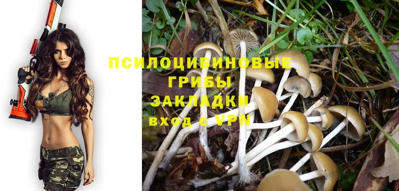 МЕГА сайт  Вышний Волочёк  Псилоцибиновые грибы MAGIC MUSHROOMS 